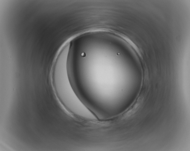 X0000114411197200910231126