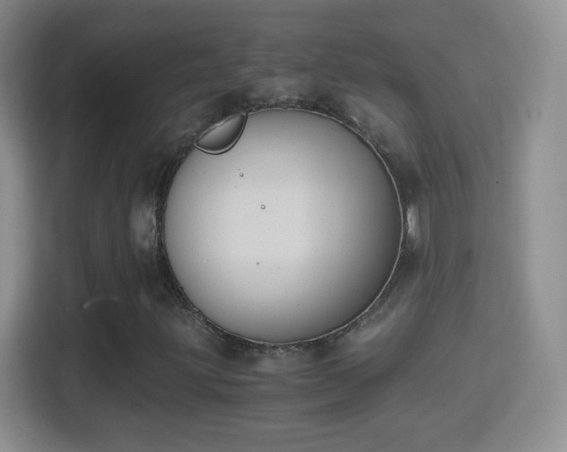 X0000114411203200910231125