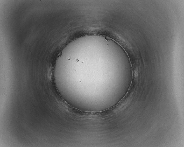 X0000114411204200910231125