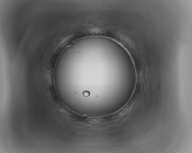 X0000114411205200910231125