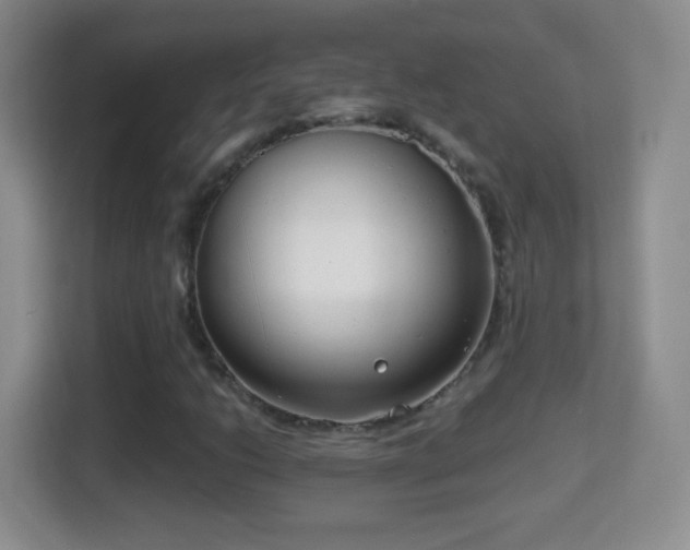 X0000114411206200910231125