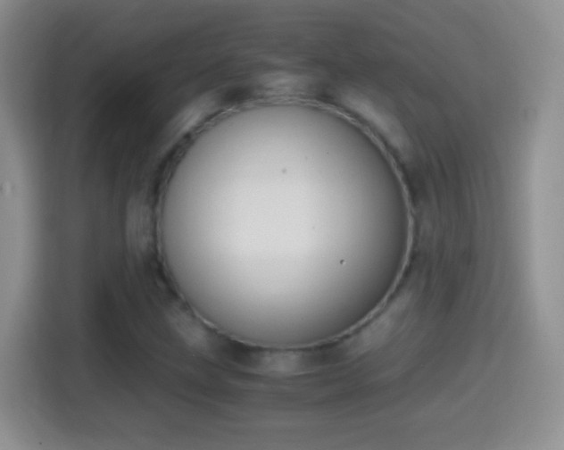 X0000114411211200910231125