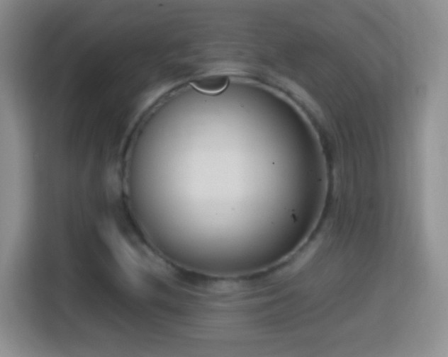 X0000114411212200910231125