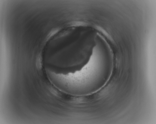 X0000114411213200910231125