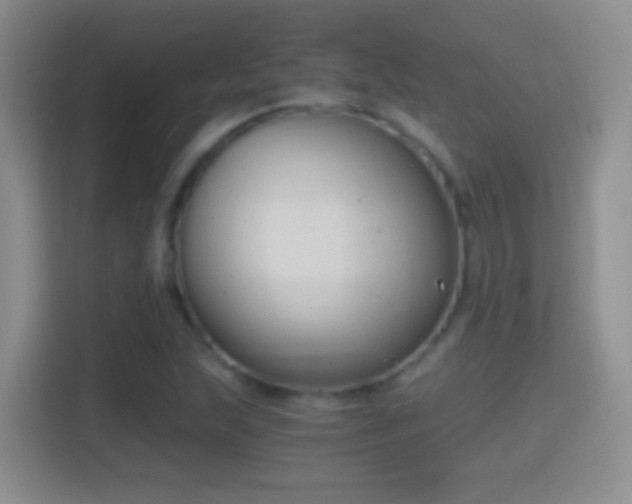 X0000114411215200910231125