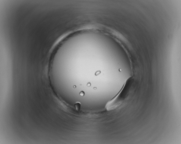 X0000114411216200910231125