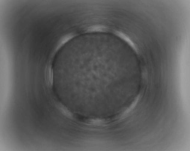 X0000114411219200910231125