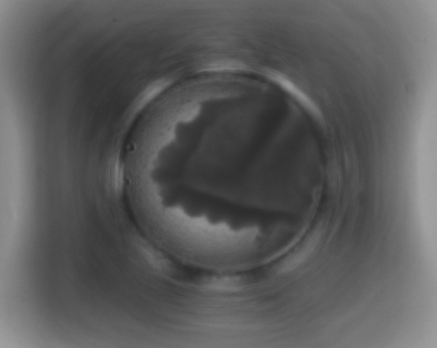 X0000114411221200910231125