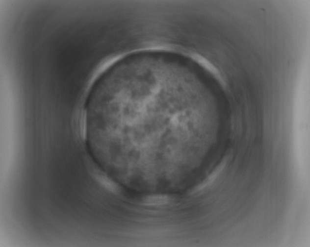 X0000114411223200910231125