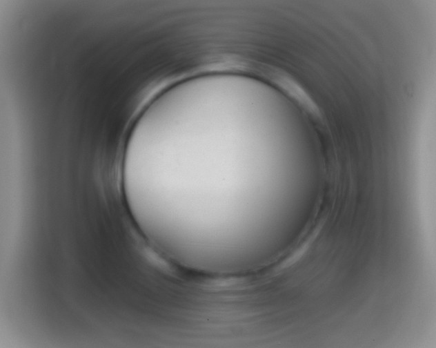 X0000114411228200910231126