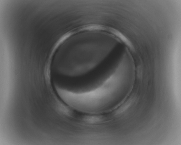 X0000114411229200910231126