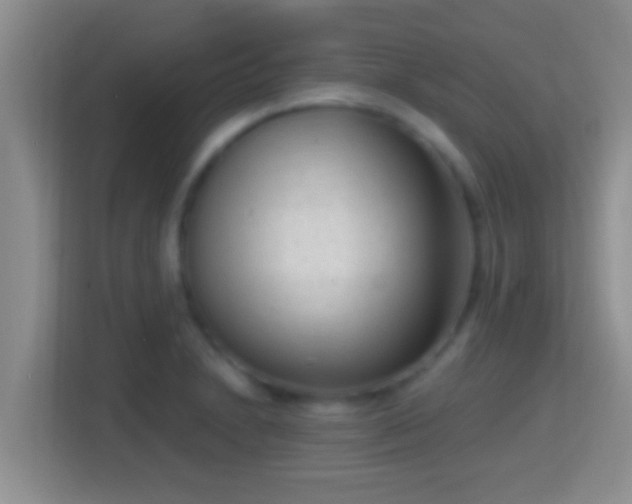X0000114411230200910231126