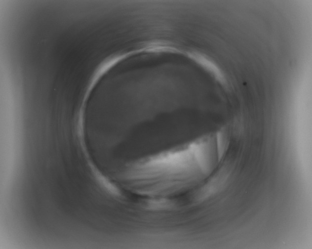 X0000114411231200910231126