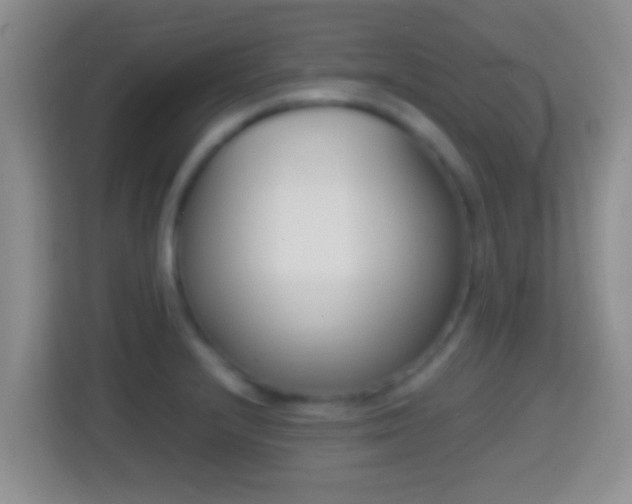 X0000114411232200910231126