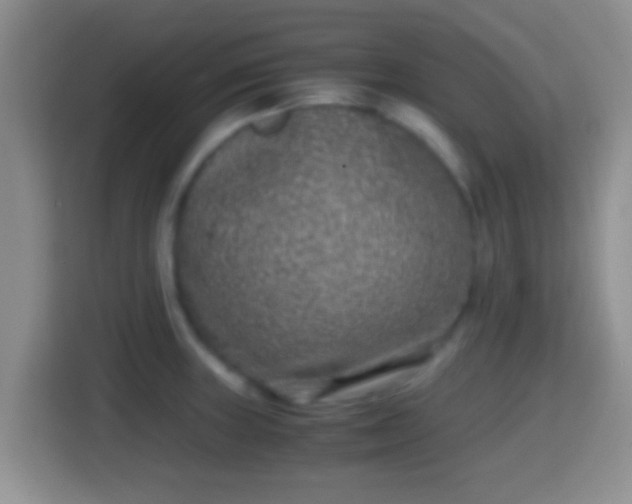 X0000114411235200910231126