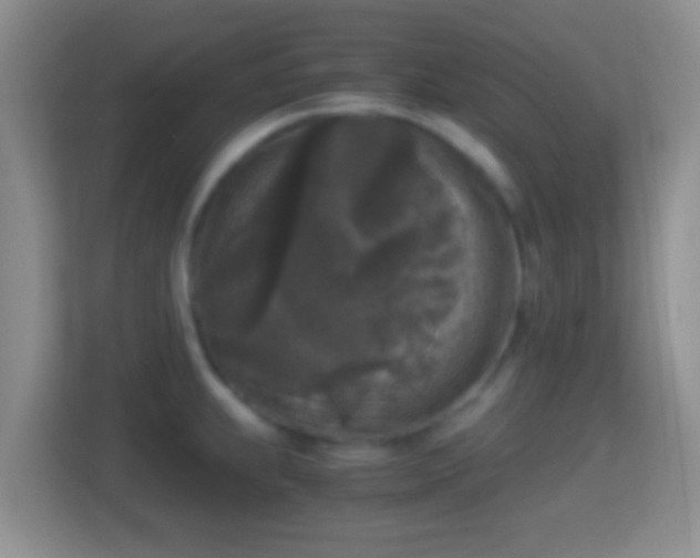 X0000114411239200910231126