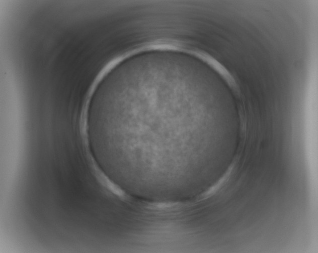 X0000114411240200910231126
