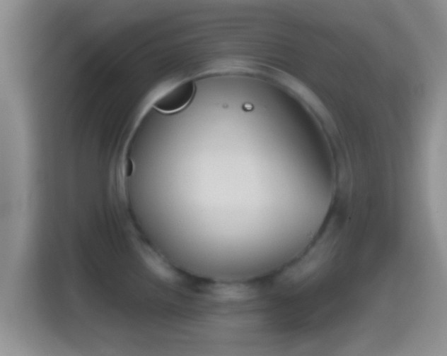 X0000114411242200910231126