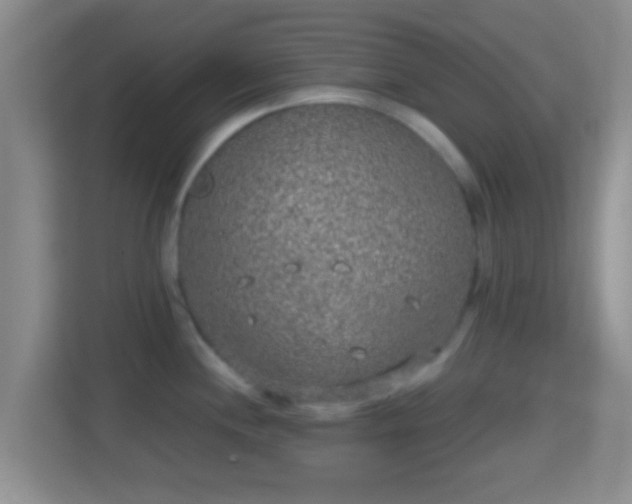 X0000114411244200910231126