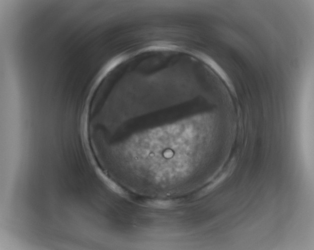 X0000114411245200910231126