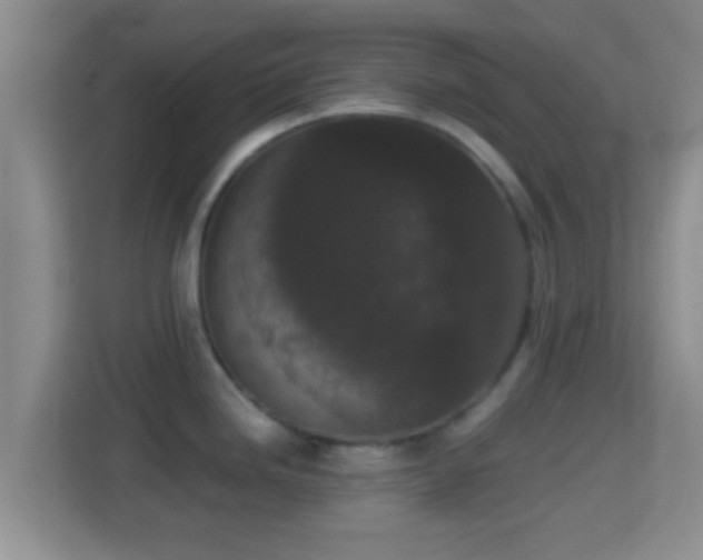 X0000114411246200910231126