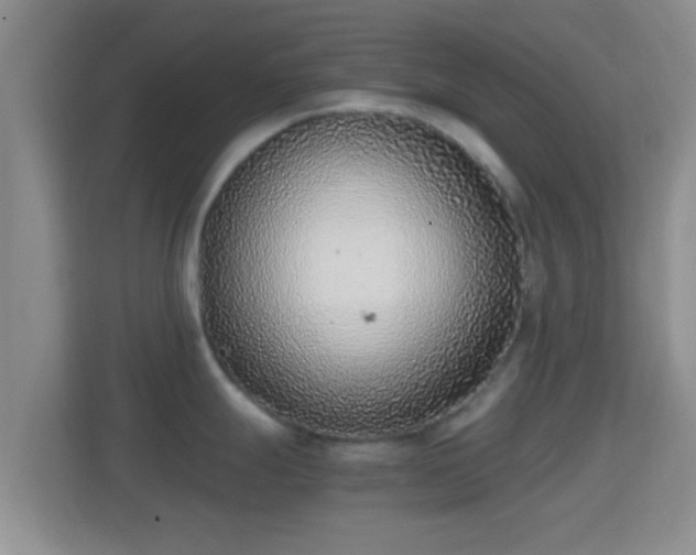 X0000114411247200910231126