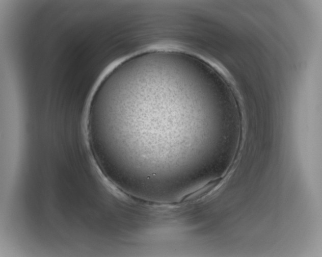 X0000114411248200910231126