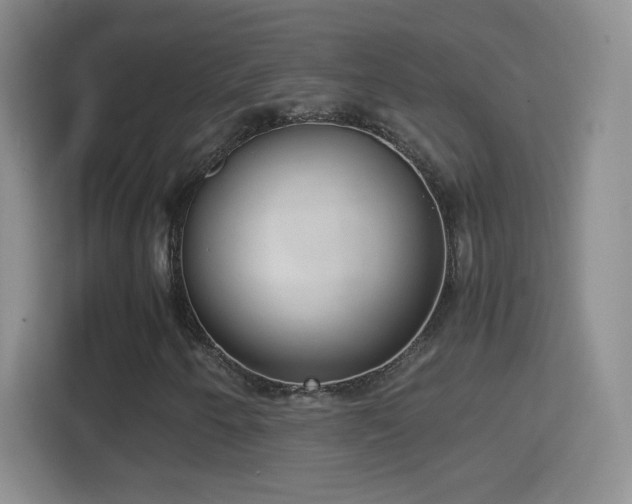 X0000114411250200910231125