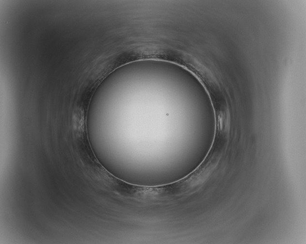 X0000114411251200910231125