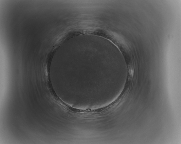 X0000114411252200910231125