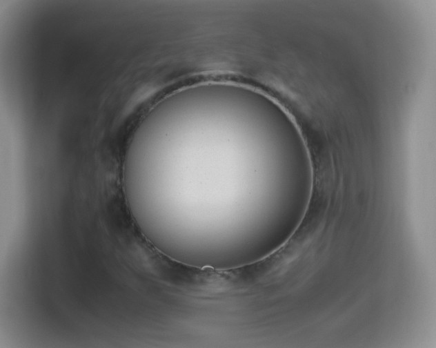 X0000114411255200910231125
