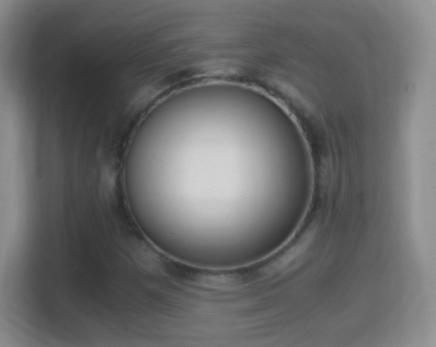 X0000114411257200910231125