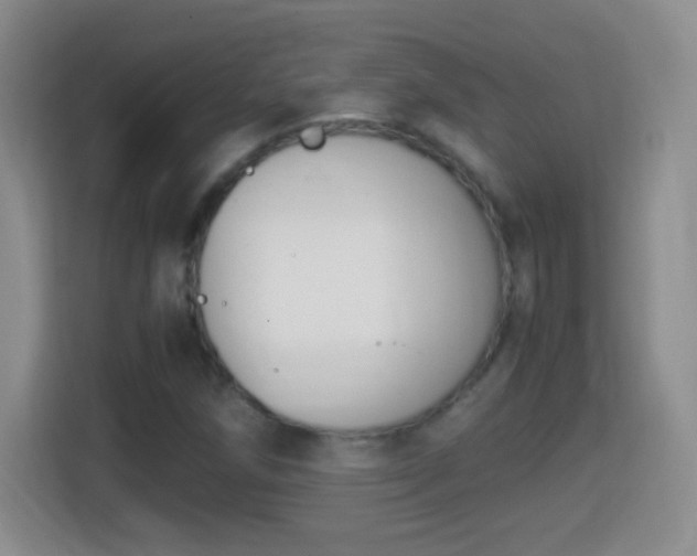 X0000114411258200910231125