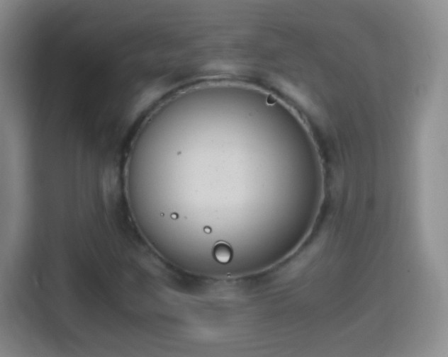 X0000114411259200910231125