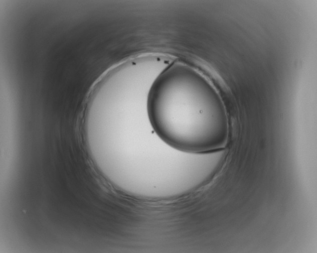 X0000114411260200910231125
