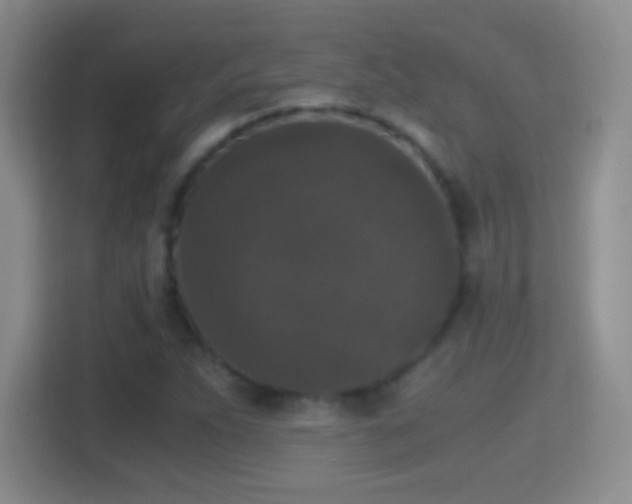 X0000114411263200910231125