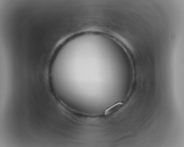 X0000114411264200910231125