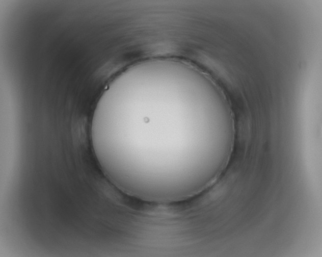 X0000114411265200910231125