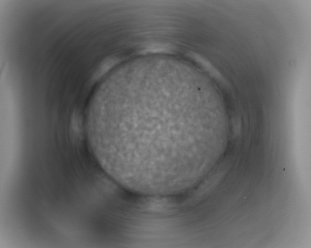 X0000114411266200910231125