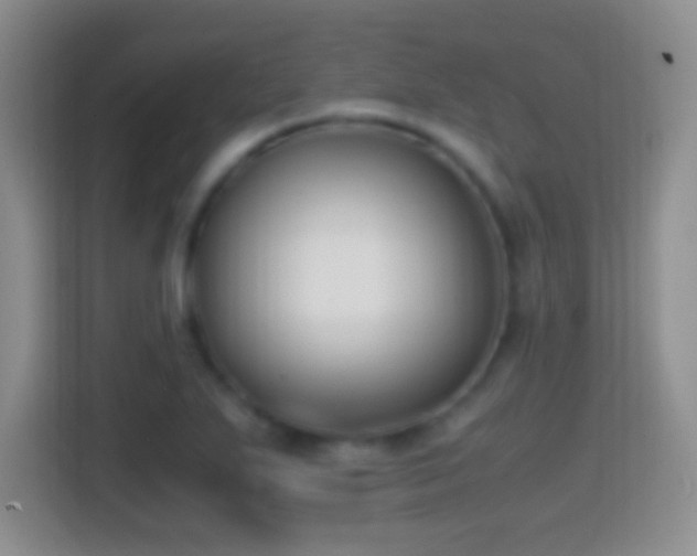 X0000114411271200910231125
