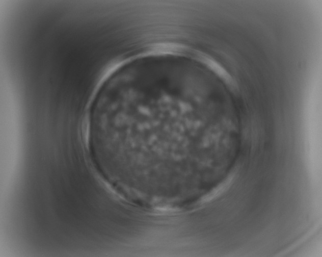 X0000114411275200910231125