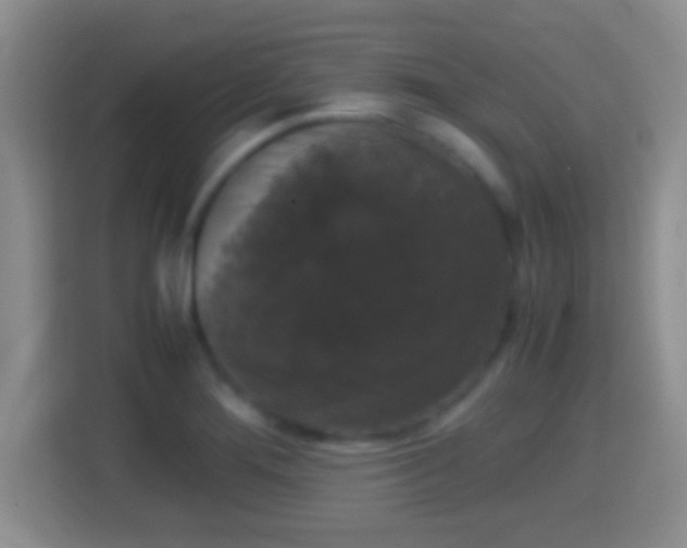 X0000114411276200910231125