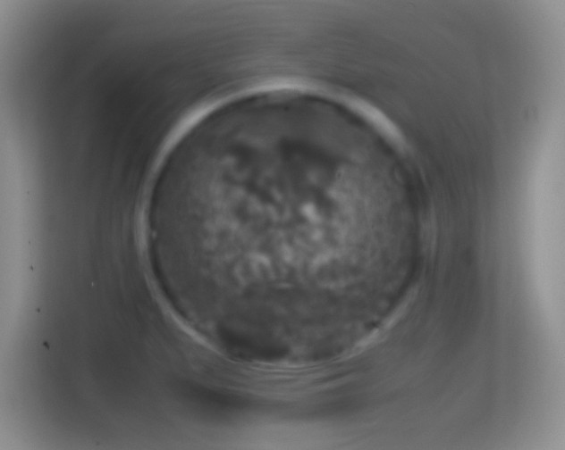 X0000114411279200910231125