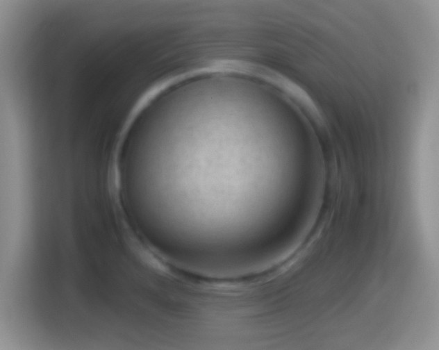 X0000114411280200910231125