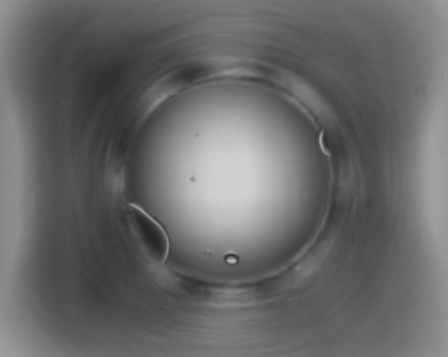 X0000114411281200910231125
