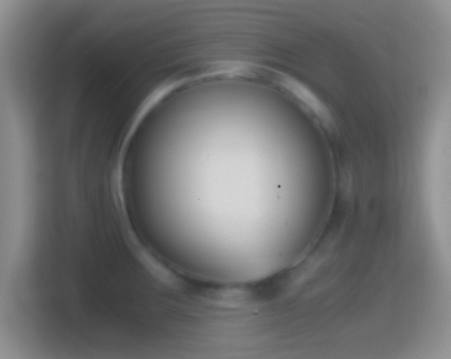 X0000114411283200910231125