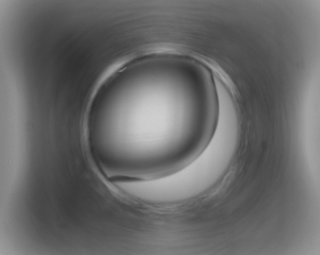 X0000114411285200910231125