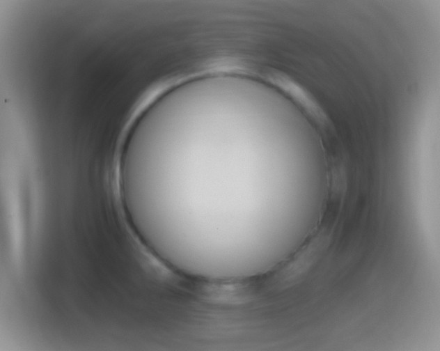 X0000114411286200910231125
