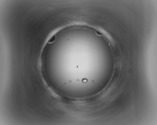 X0000114411287200910231125