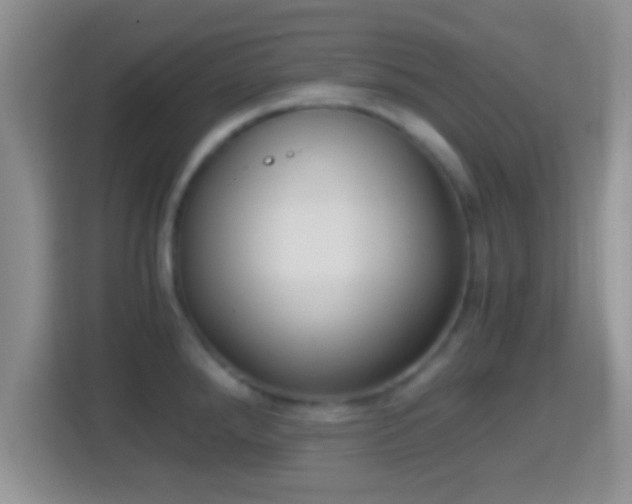 X0000114411288200910231125